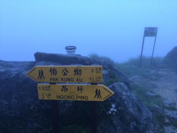 广东水产饲料行业全自动装车设备的应用——提升效率与品质的利器